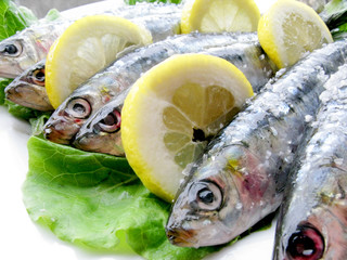 Sardinhas-Sardine-Pilchard-Fish-Sardina-Peixe-Sardinha