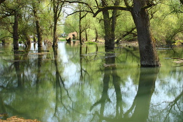 Hochwasser