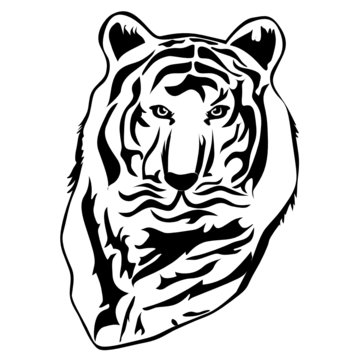 Tiger illustration in black color, vector illustration