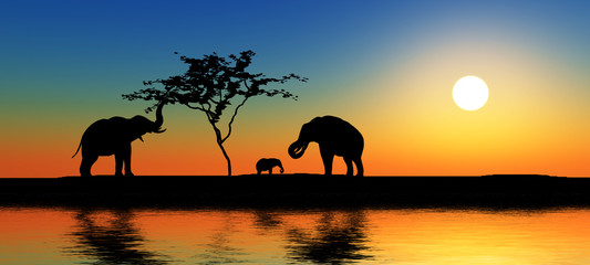 Fototapeta na wymiar Family of elephants.