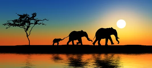 Abwaschbare Fototapete Elefant Elefantenfamilie.