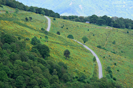 Route du col d'Aspin (hautes pyr&eacute;n&eacute;es) au printemps.