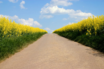 Sommer