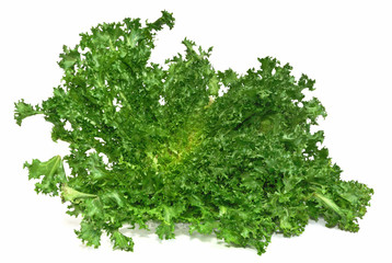 Endive