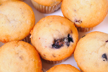 blueberry muffins