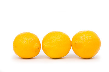 golden lemon in a row