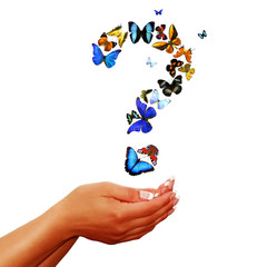 Kontakt / Fragezeichen