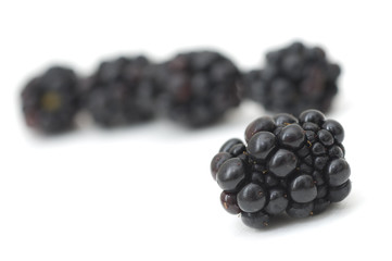 Group of Blackberries