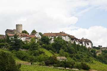 Fototapeta na wymiar Regensberg zamek