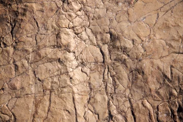 Fotobehang Steen steen textuur close-up