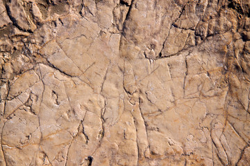 stone texture closeup