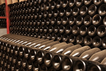 Bottles in wine cellar