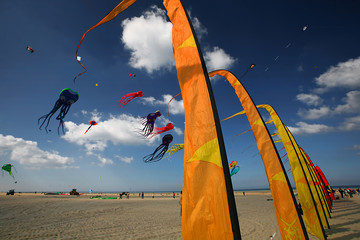 Cerf-volant & engins volants