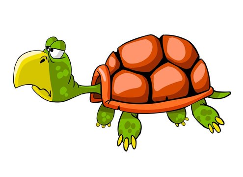 sea-turtle character