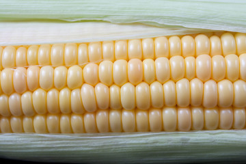 corn
