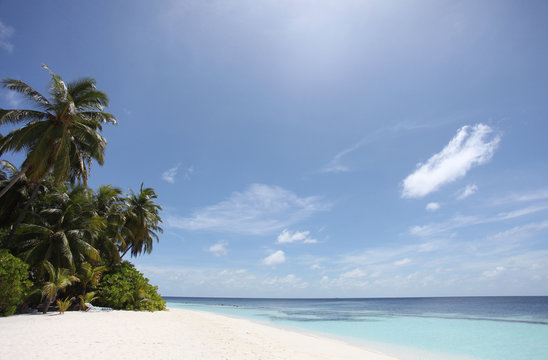 Tagtraum - Malediven - Daydream - Maldives
