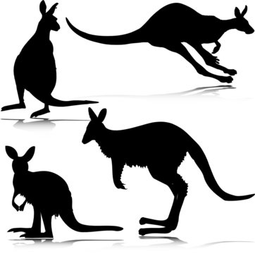 kangoroo vector silhouettes