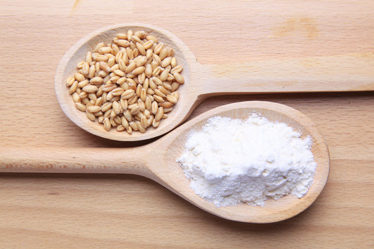 wheat and flour on wooden spoons