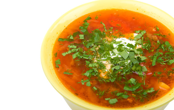 Ukrainian and russian national red soup - borscht