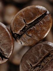 Coffee bean in deep shadows over unfocused grains background