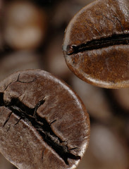 Coffee bean in deep shadows over unfocused grains background