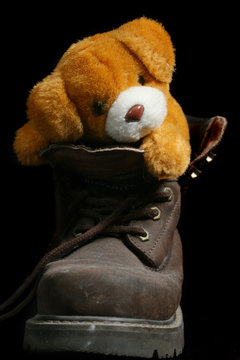 chien en peluche et chaussure