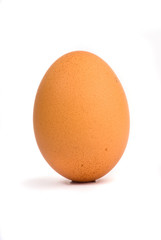 egg on white background