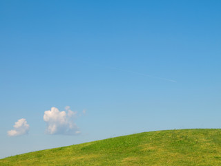Fototapeta premium field and the blue spring sky