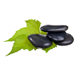 stones and leaf reflecting