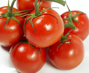 Tomato