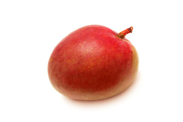 Mango  fruit  isolated on white.