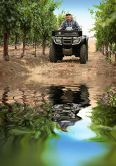 Obraz premium Farmer in vineyard