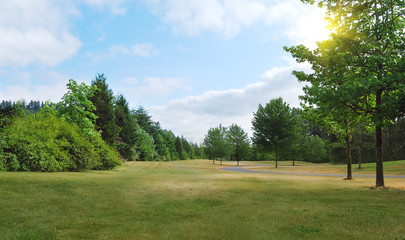 Park in summer day.
