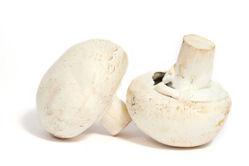 champignons de paris