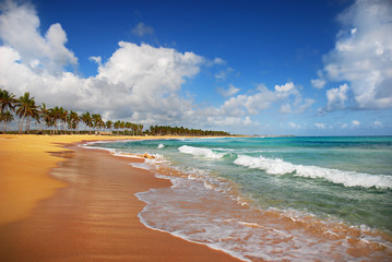 Obraz premium Exotic Beach in Punta cana