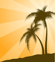 Fototapeta na wymiar Orange background with palm trees. Vector illustration