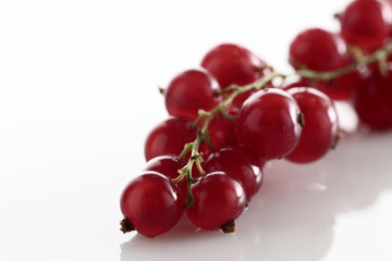 Johannisbeeren_rot