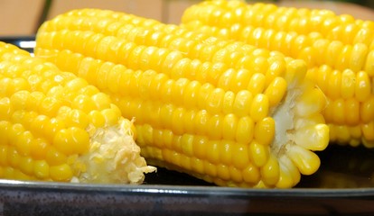 corn