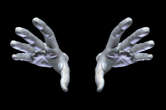 Digital Hands