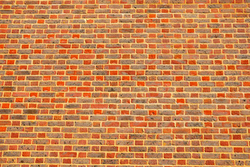 Fresh and vivid brick wall
