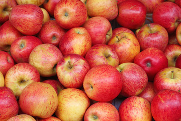 Äpfel - Nachmarkt - Wien