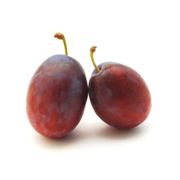 plums isolated