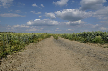 chemin agricole