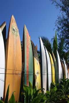 Surfbretter