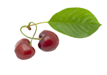 Cherry - heart