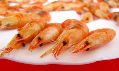 Shrimp on a white plate