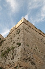 Fototapeta premium ibiza. View of the walls of the city of Ibiza. UNESCO