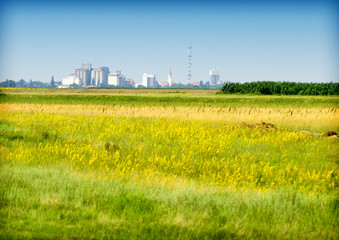 meadows and city in the background