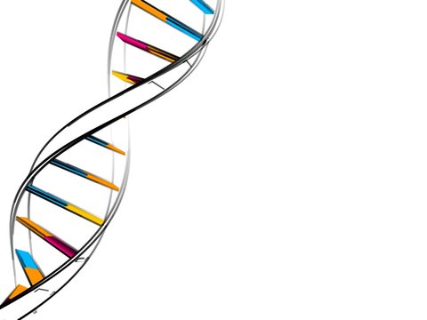 dna