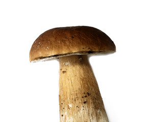 cep